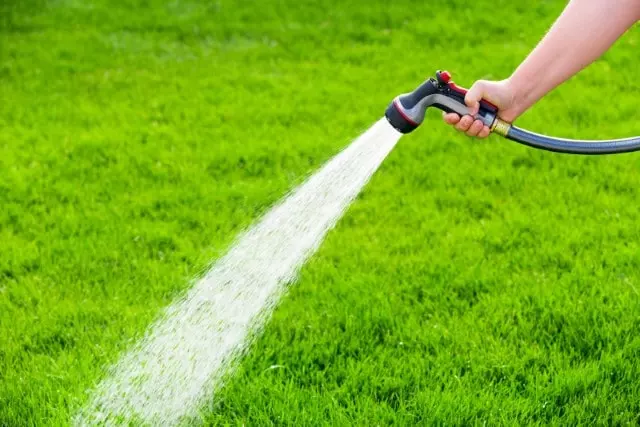 how to apply sulfur to the lawn