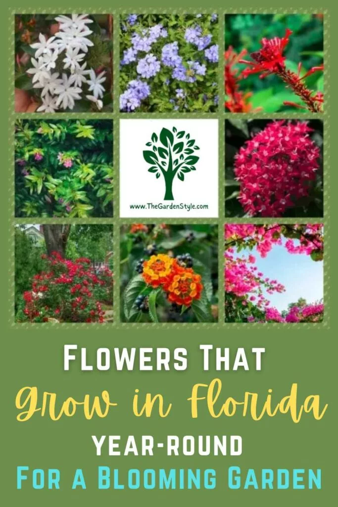 flowers that grow in florida year round pin