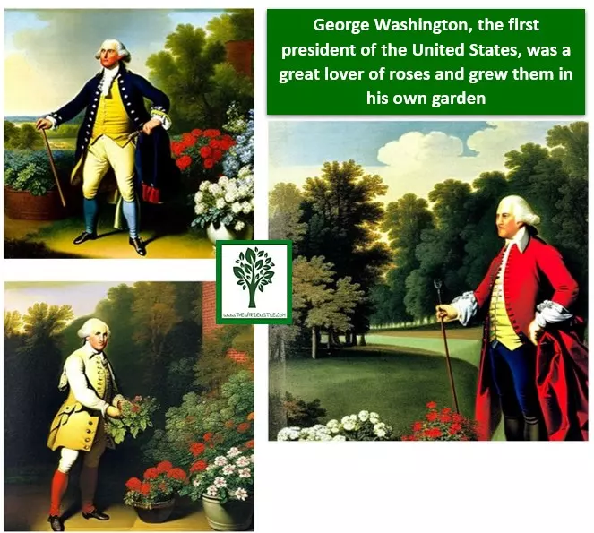 George Washington garden of roses of the first president of the united states of america