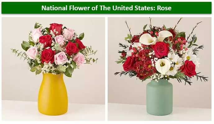 Flower arrangement: Red roses combined with pink roses, daisies, and callas