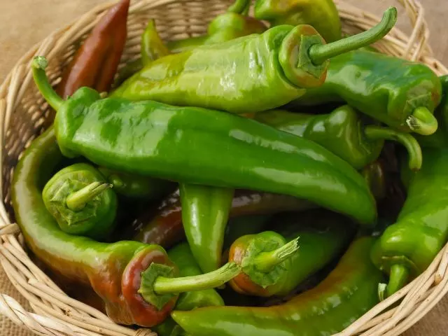 when to harvest anaheim peppers guide