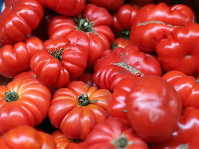 how to grow beefsteak tomatoes in a container guide