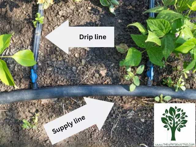 how does drip irrigation work