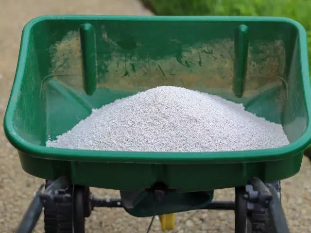 how to apply winterizer fertilizer