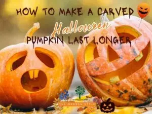 make-a-carved-pumpkin-last-longer