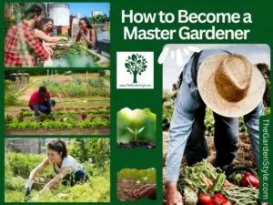 how to become a master gardener
