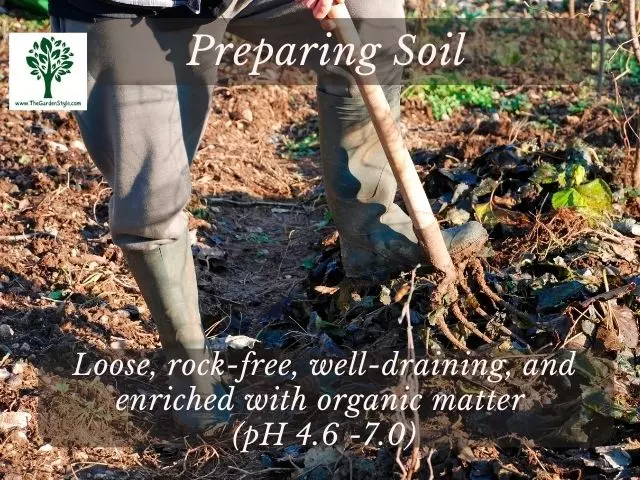 soil for planting potatoes