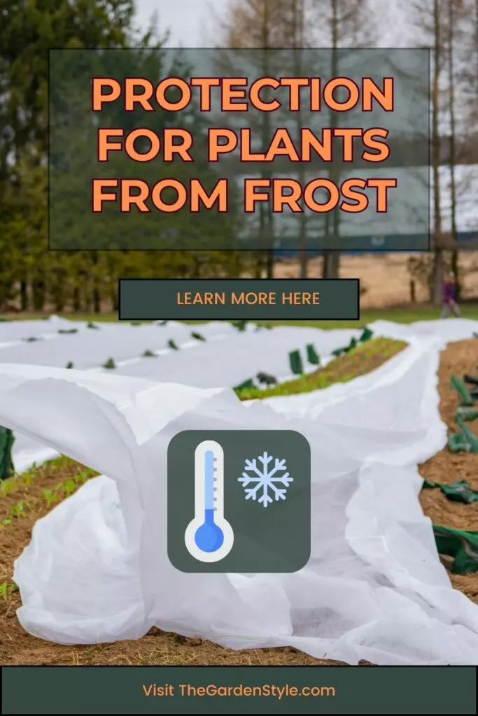 protection for plants from frost