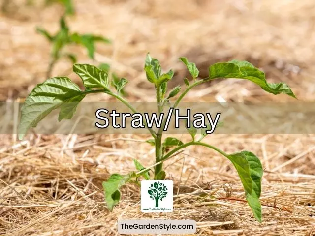 straw different types of mulches