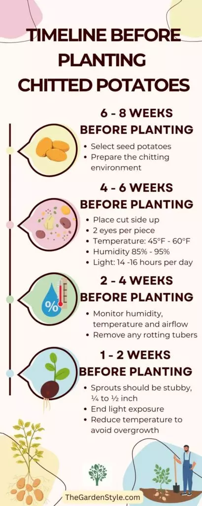 timeline for preparing chitted potatoes before planting