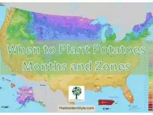 when to plant potatoes months and zones