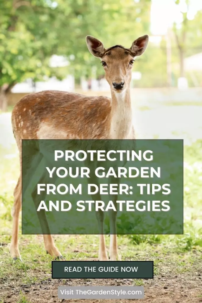how to protect the garden from deer