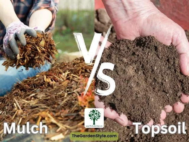 mulch vs topsoil comparative