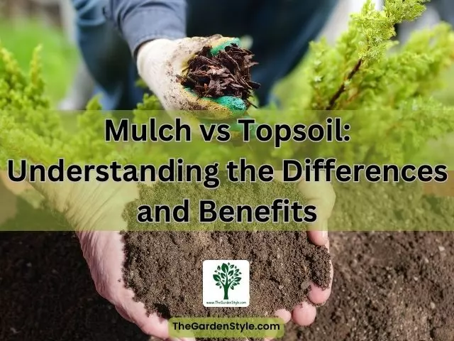 mulch vs topsoil understanding the differences and benefits
