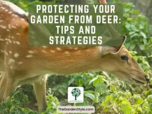 protecting your garden from deer tips and strategies