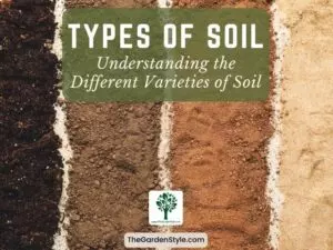 types of soil understanding the different varieties of soil