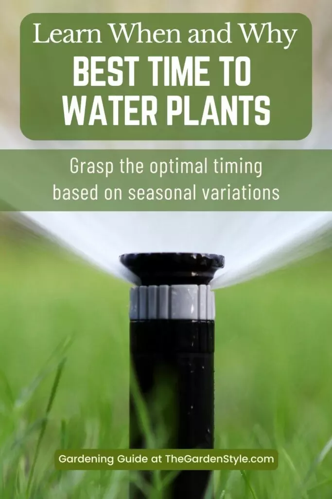 best time to water plants throughout the entire year