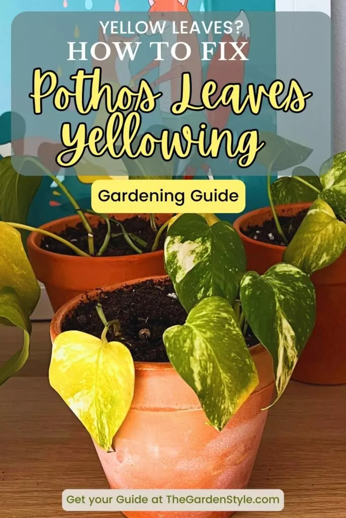yellow leaves on pothos full guide