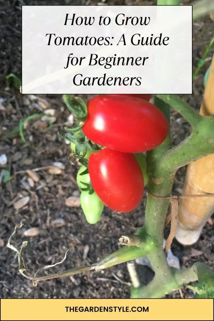 how to grow tomatoes pin