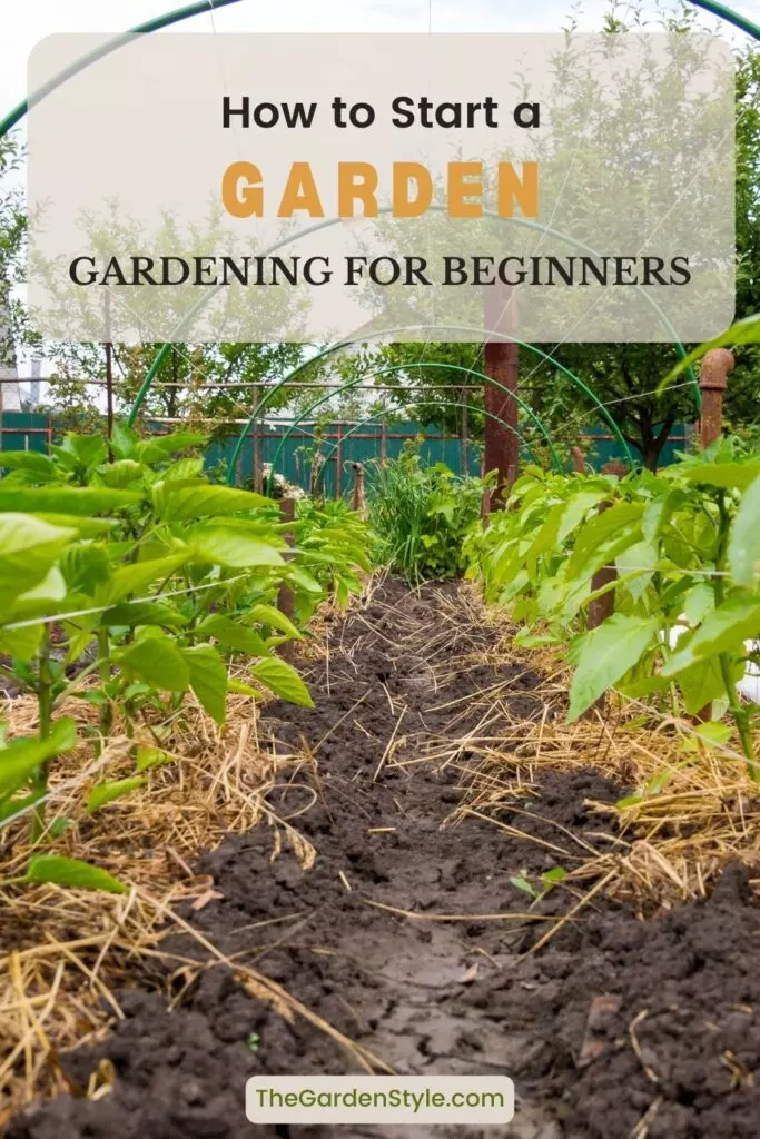 how to start a garden gardening for beginners pin