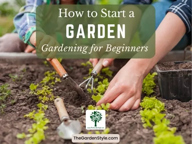 how to start a garden gardening for beginners