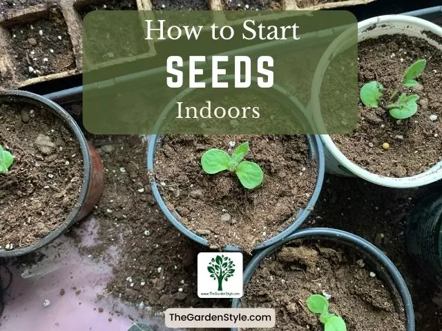 how to start seeds indoors