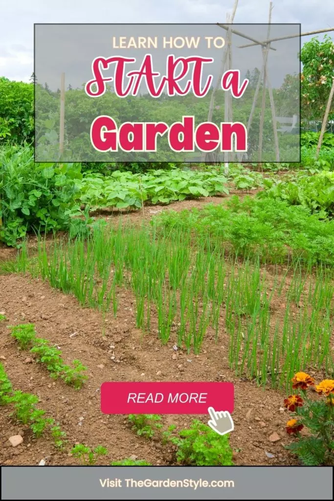 learn how to start a garden