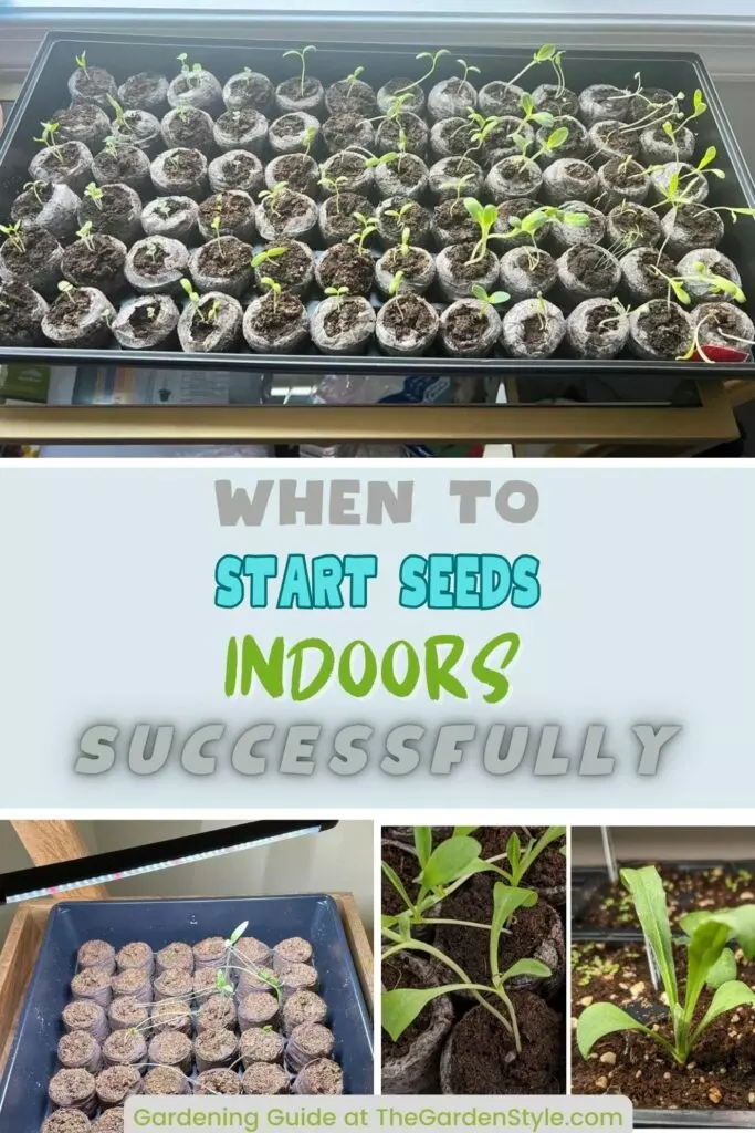 when to start seeds indoors pin