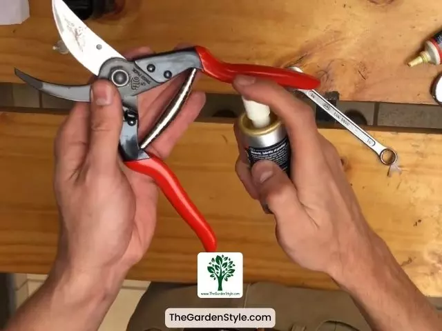 cleaning pruning shears steps 