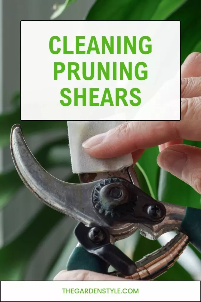 cleaning pruning shears