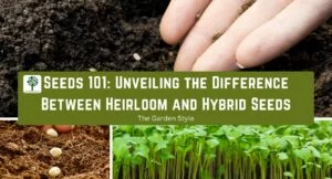 difference between heirloom and hybrid seeds
