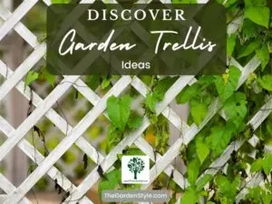 discover garden trellis ideas