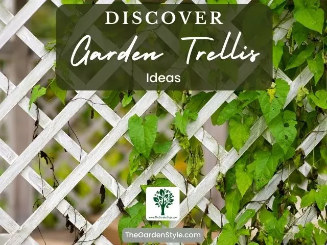 discover garden trellis ideas