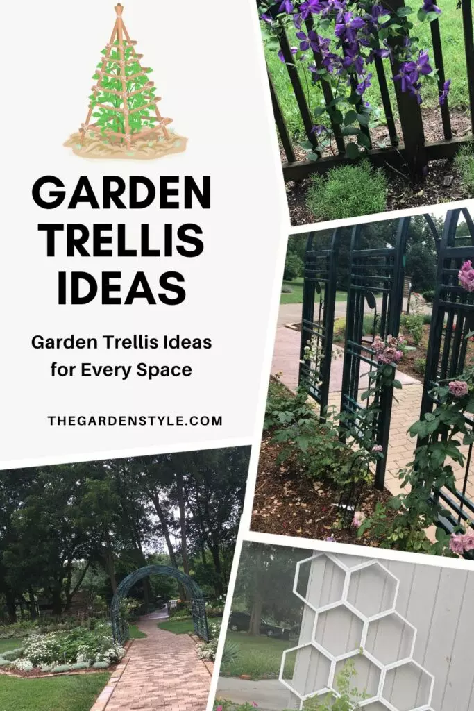 garden trellis ideas pictures