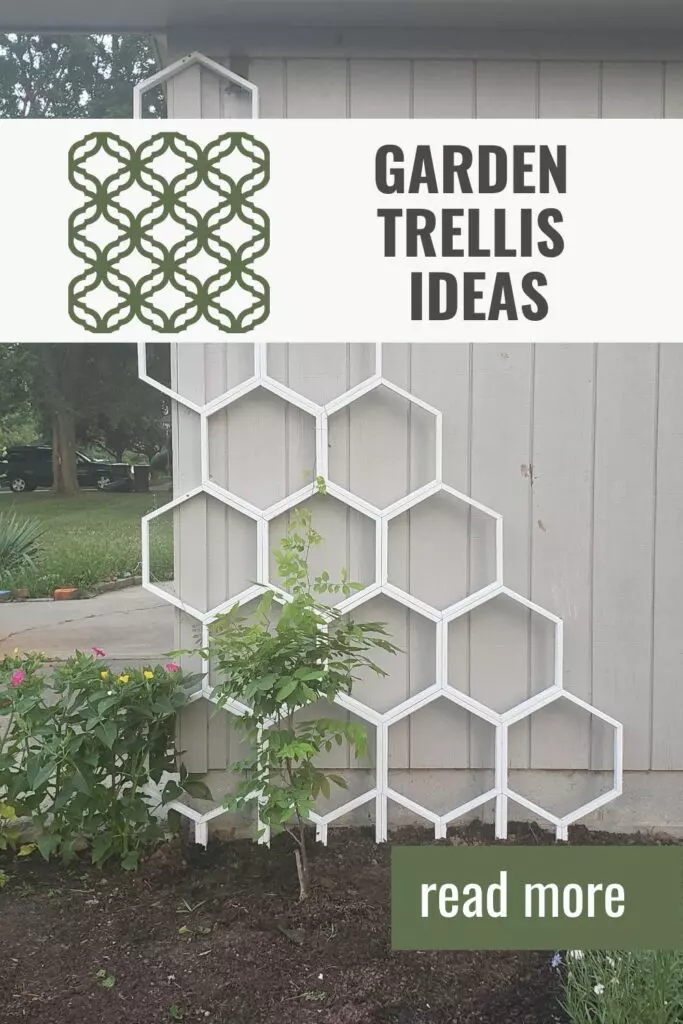 garden trellis ideas pin