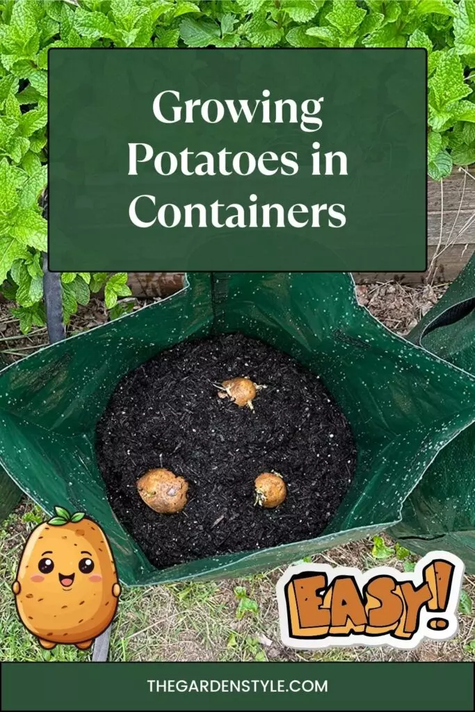 growing potatoes in a container