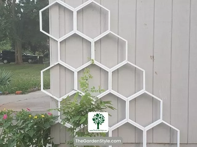 honeycomb trellis garden ideas