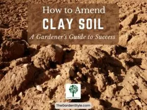 how to amend clay soil a gardeners guide to success