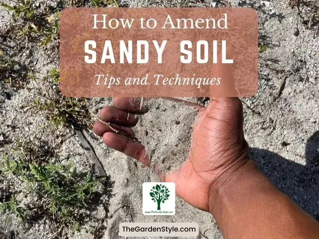 how to amend sandy soil tips and techniques