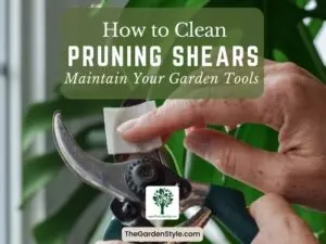how to clean pruning shears maintain your garden tools