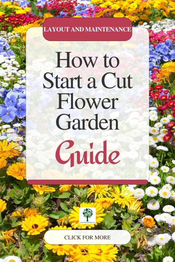 how to start a cut flower garden for beginners guide