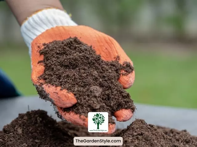 organic matter to improve sandy soil