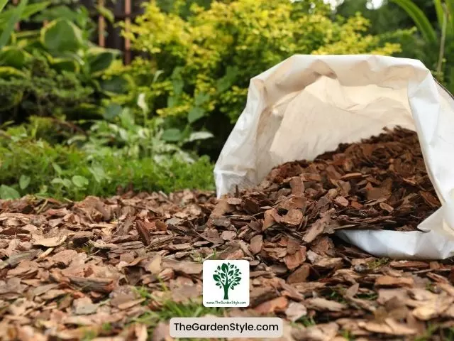 organic mulch to improve sandy soil