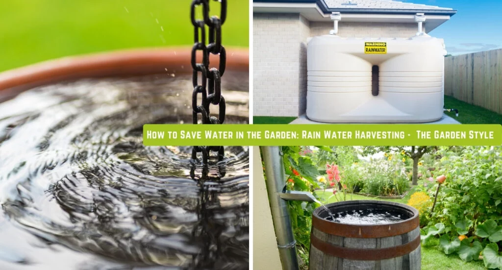 saving water harvesting rainwater