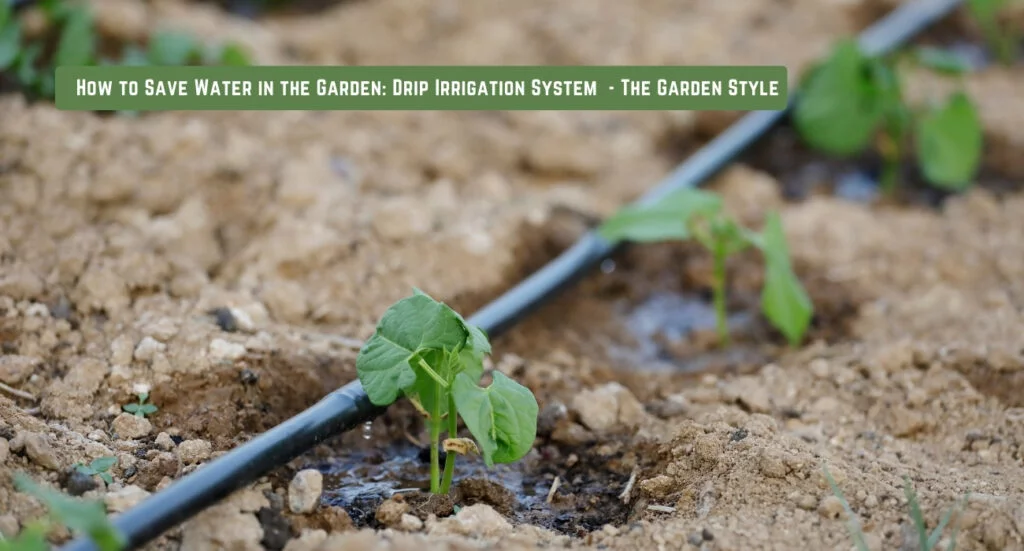 how to save water in the garden using drip irrigation