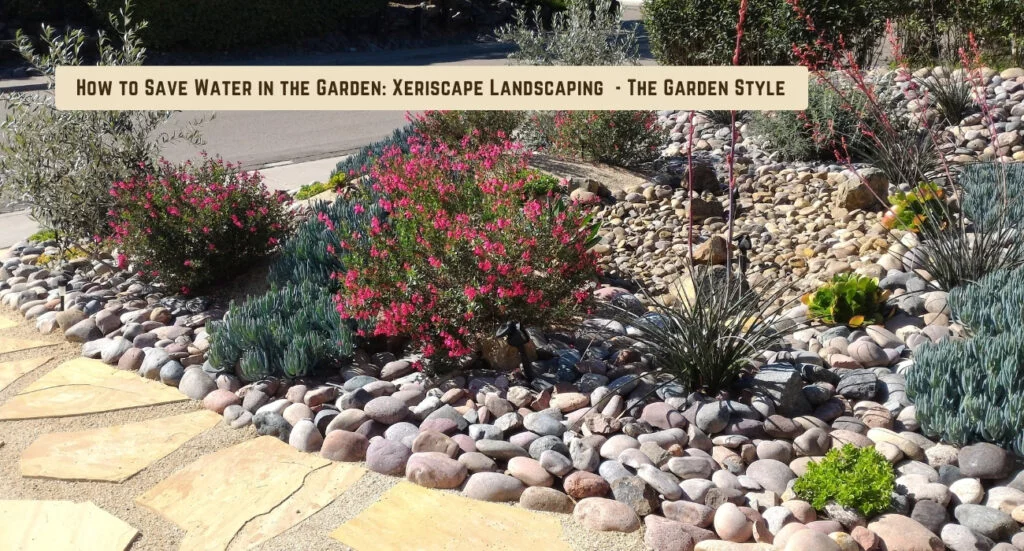 save water in the garden with xeriscape