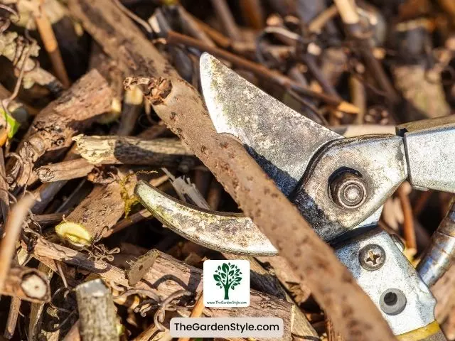 signs your shears need sharpening