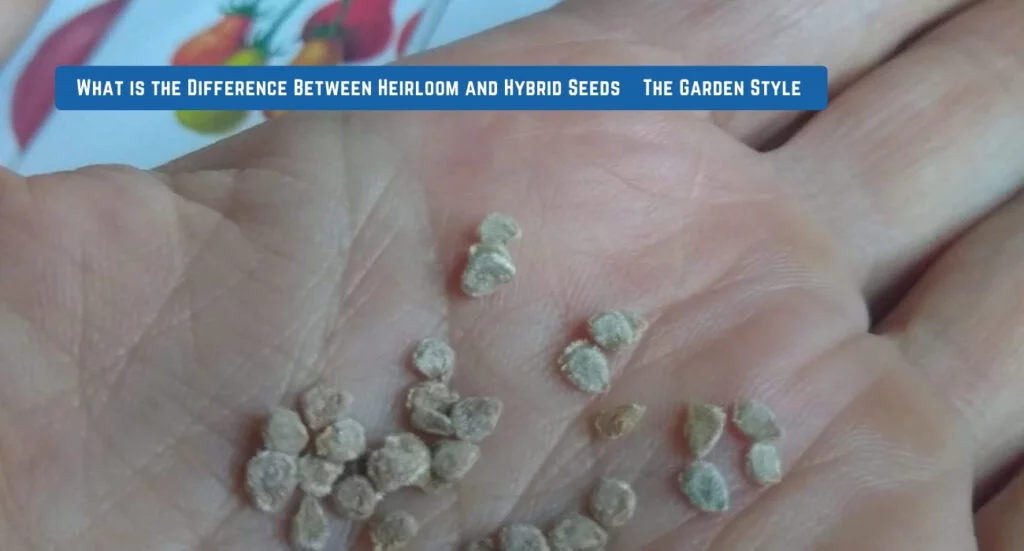 what are heirloom seeds
