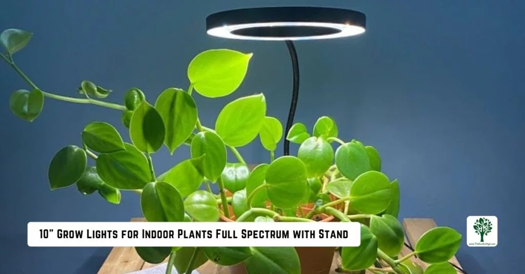 10 grow lights for indoor plants full spectrum with stand