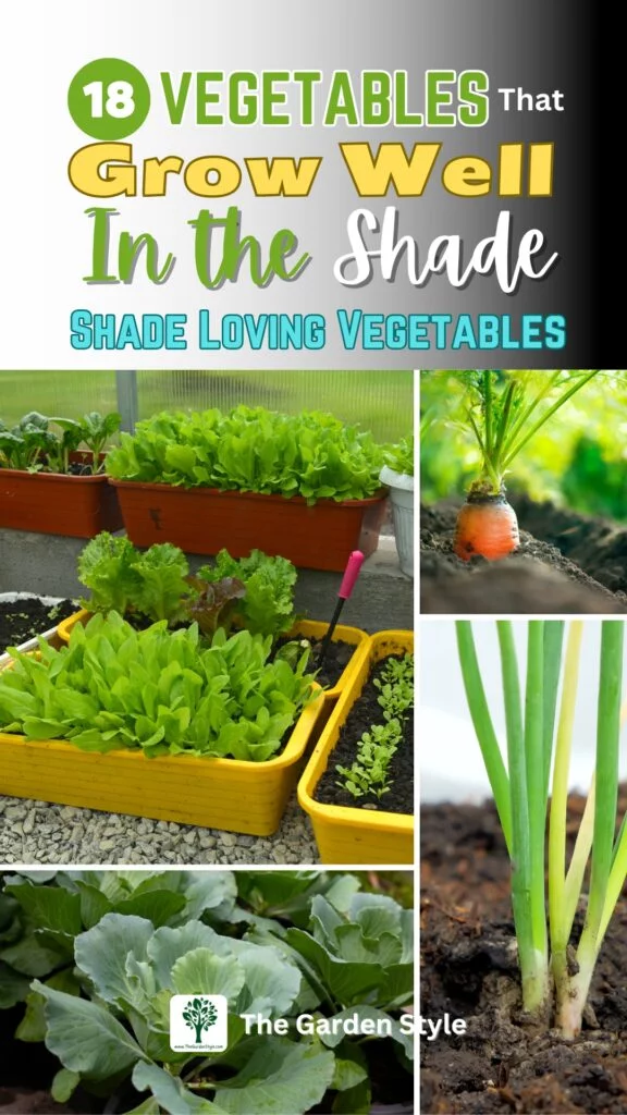 18 vegetables that grow well in the shade